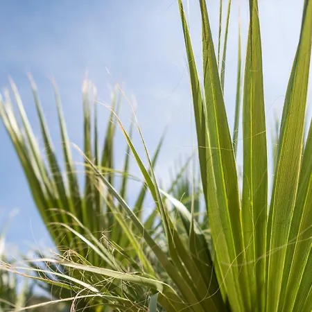 مكان تخييم Nashos 3*